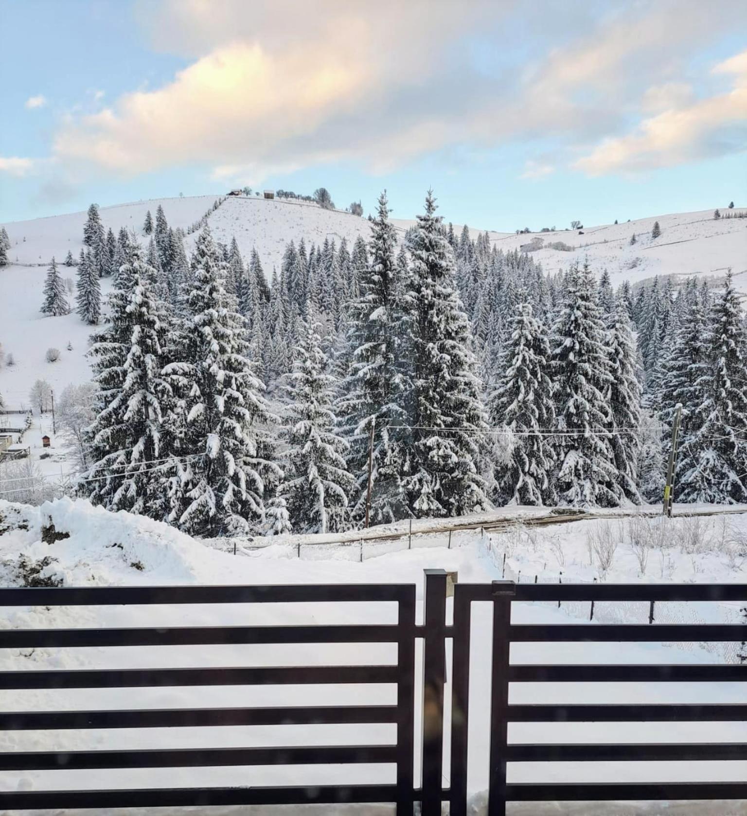 A Pisc Hotel Vatra Moldoviţei Exterior foto